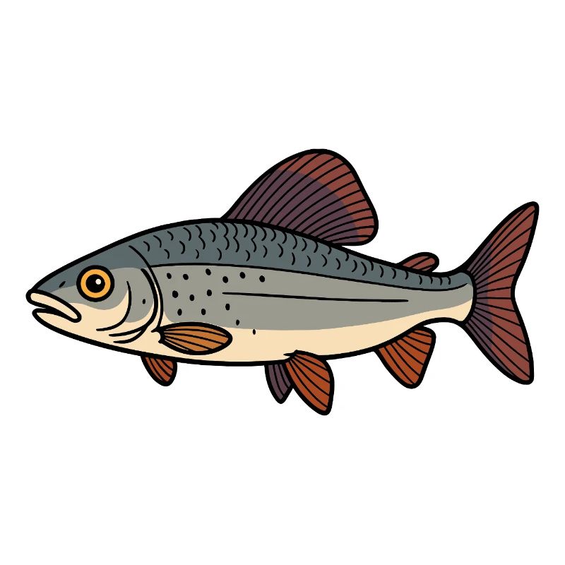 Fisch Äsche