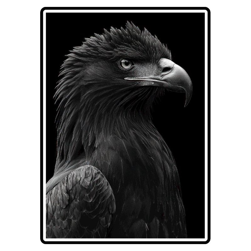 Aigle