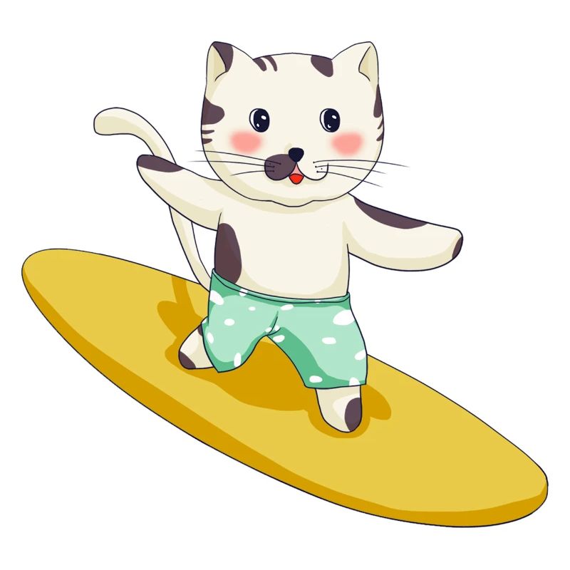 Drôle de chat de surf