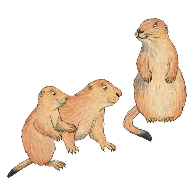 Chiens de prairie