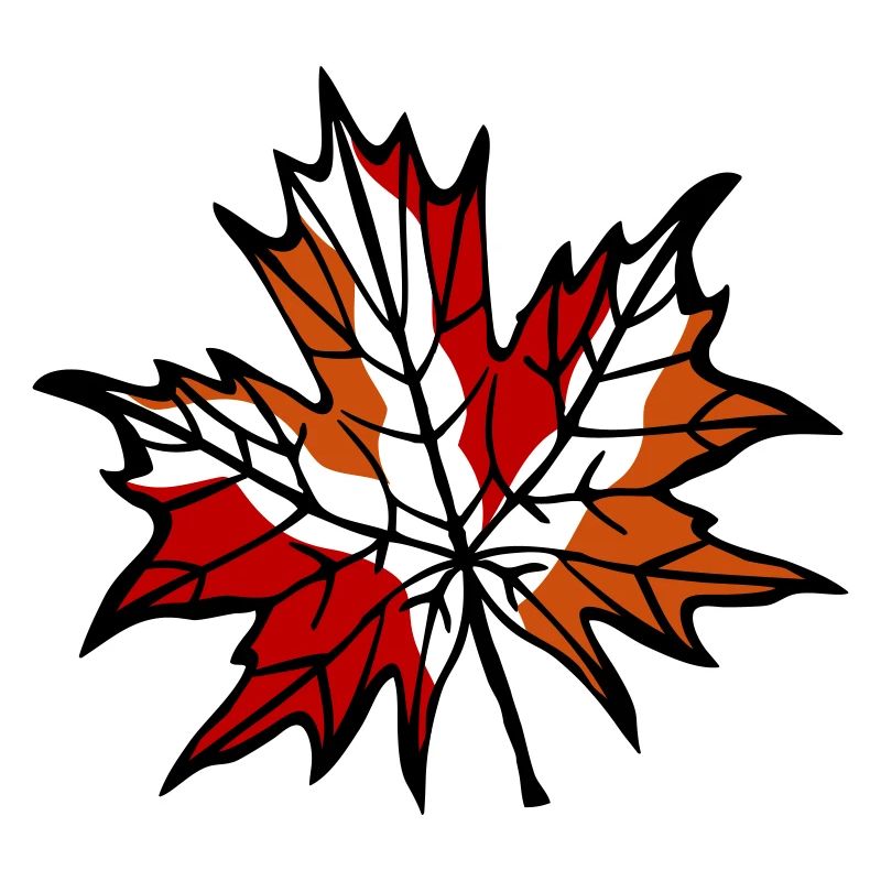 Feuille d’automne 1