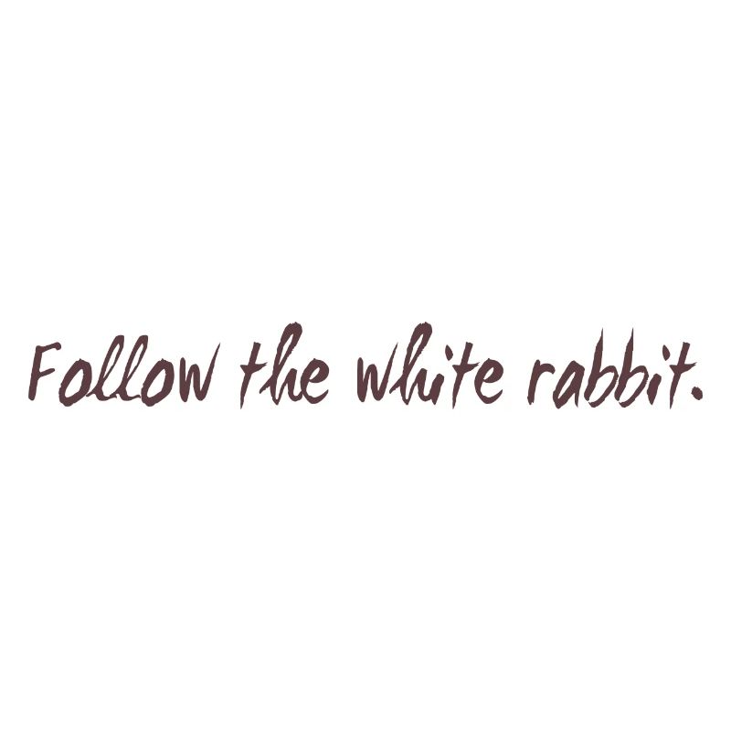 Follow the white rabbit programming cadeau