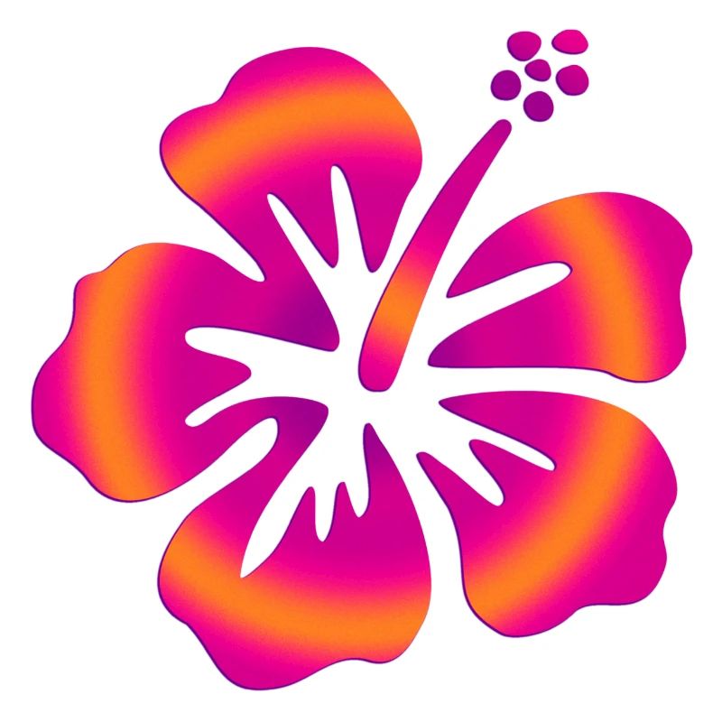 Hibiscus rose