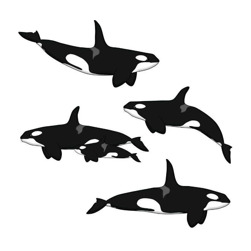 Killer whale range
