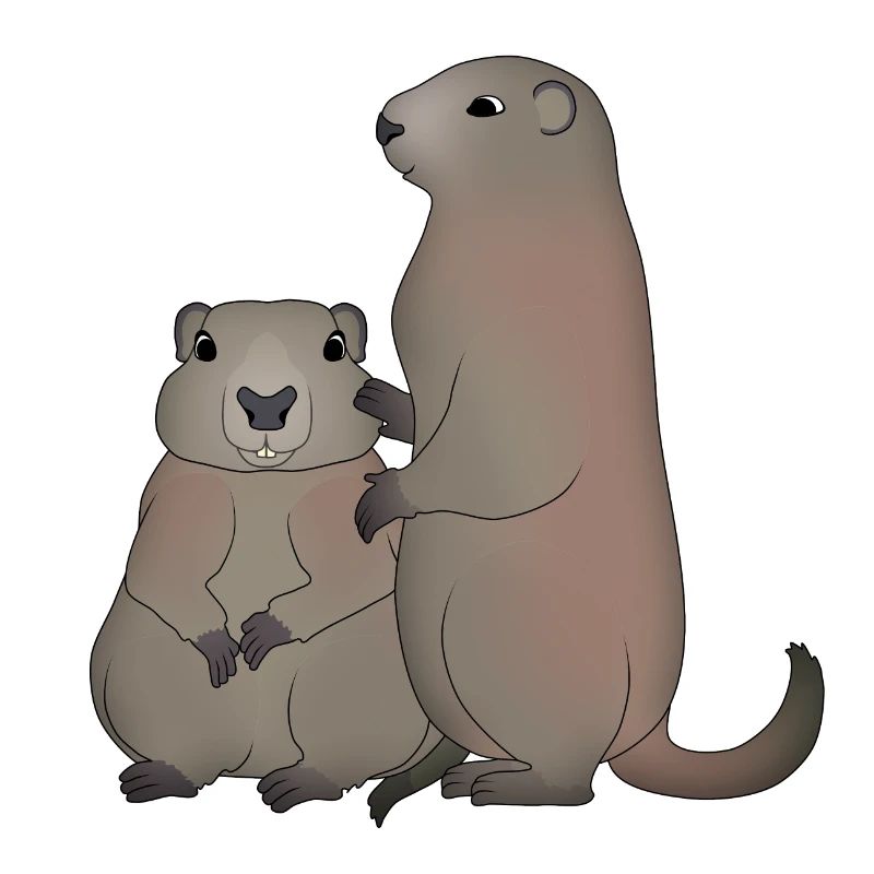 Deux marmottes