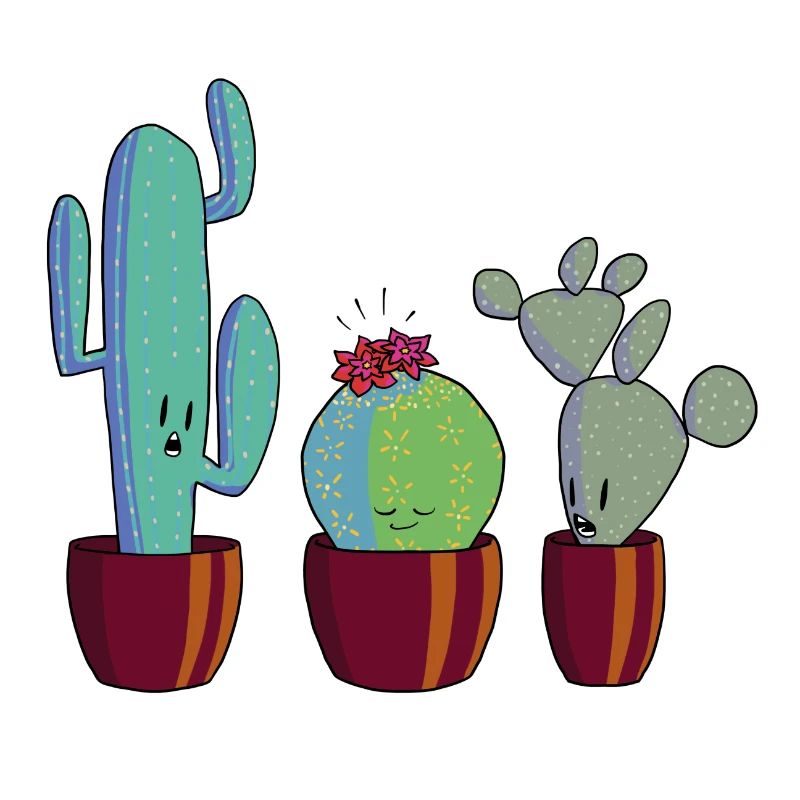 Cactus en fleur