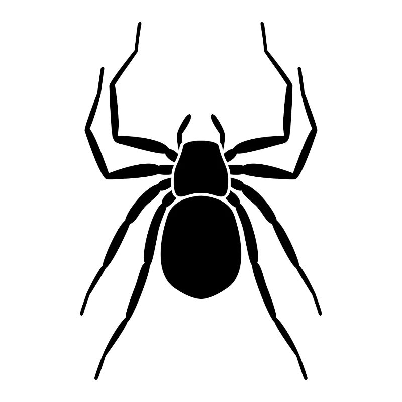 araignée