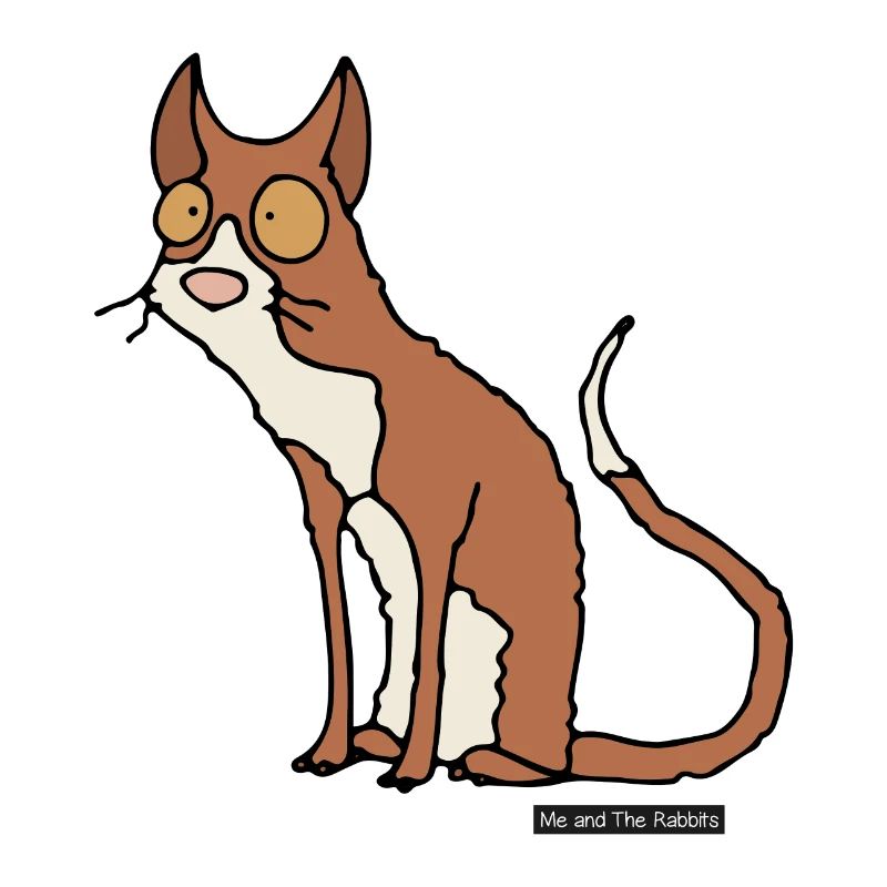 Cat - Cornish Rex