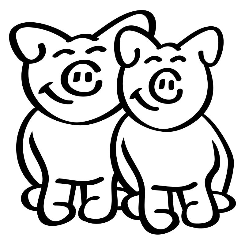 Cute Pigs