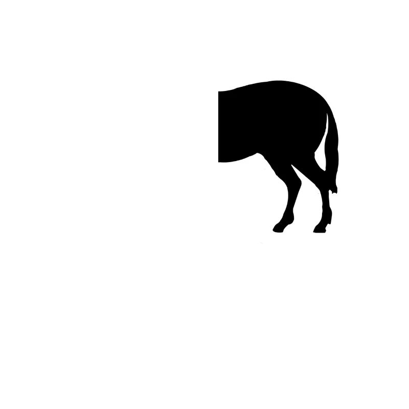 Zebra [defraged] | IT | Ordinateur | Nerd | Geek