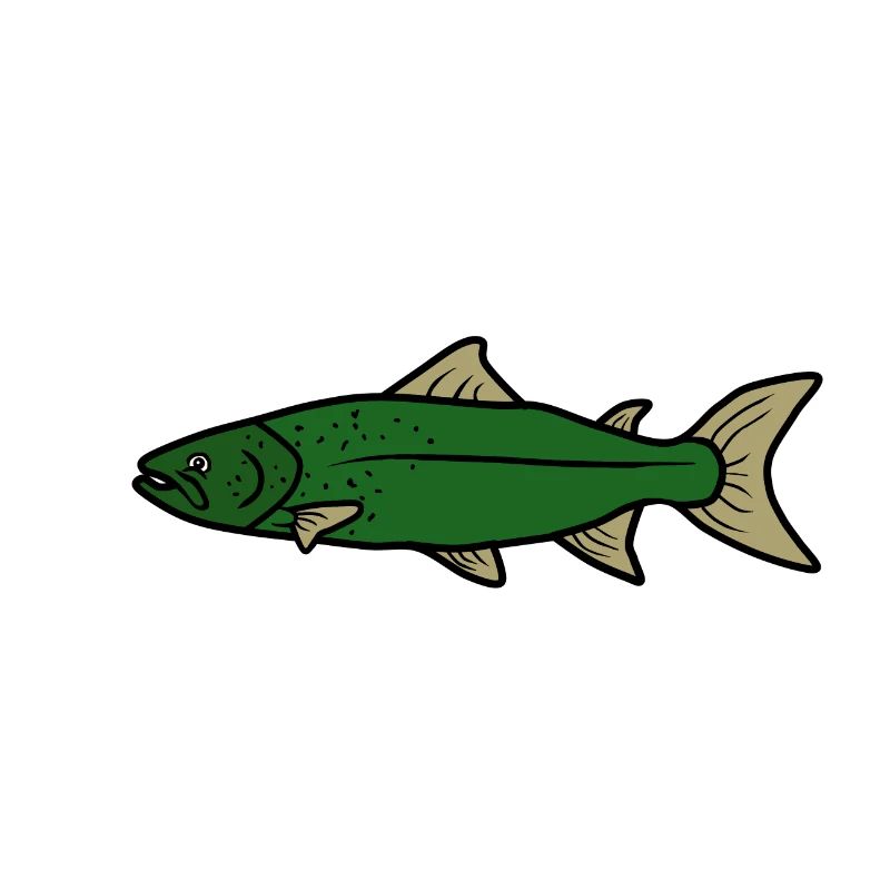fish