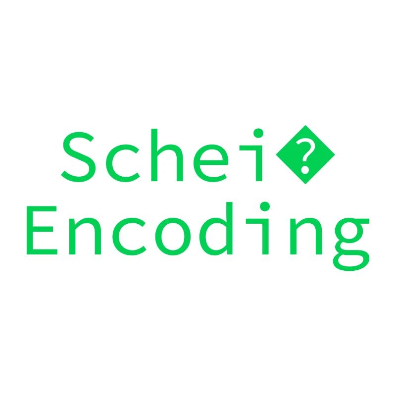 Schei encoding Programming Informatik Geschenk