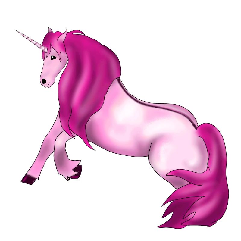 Unicorn Style: Rosa