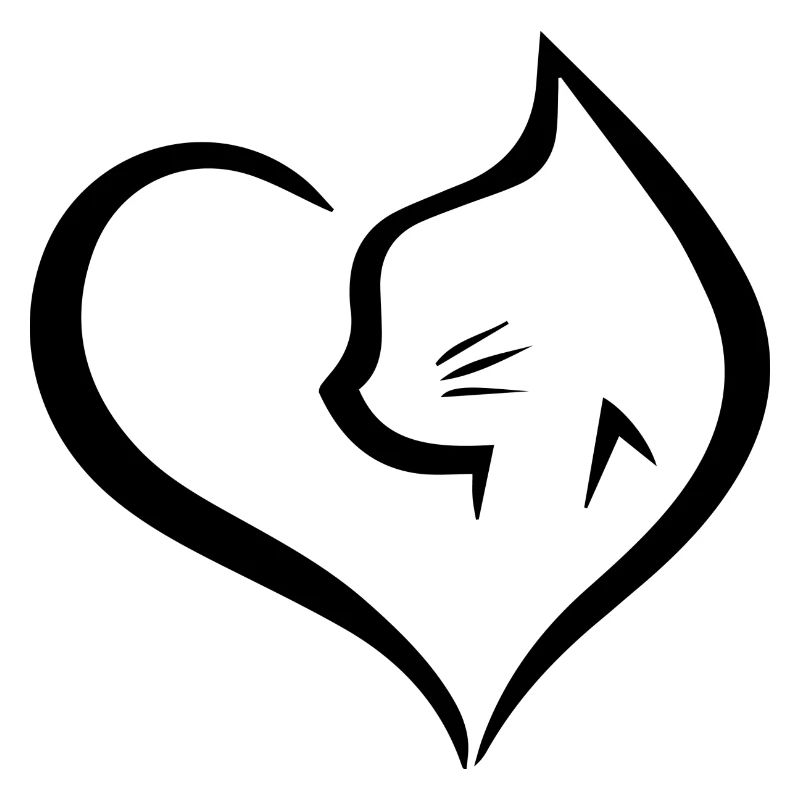 Chat Katze