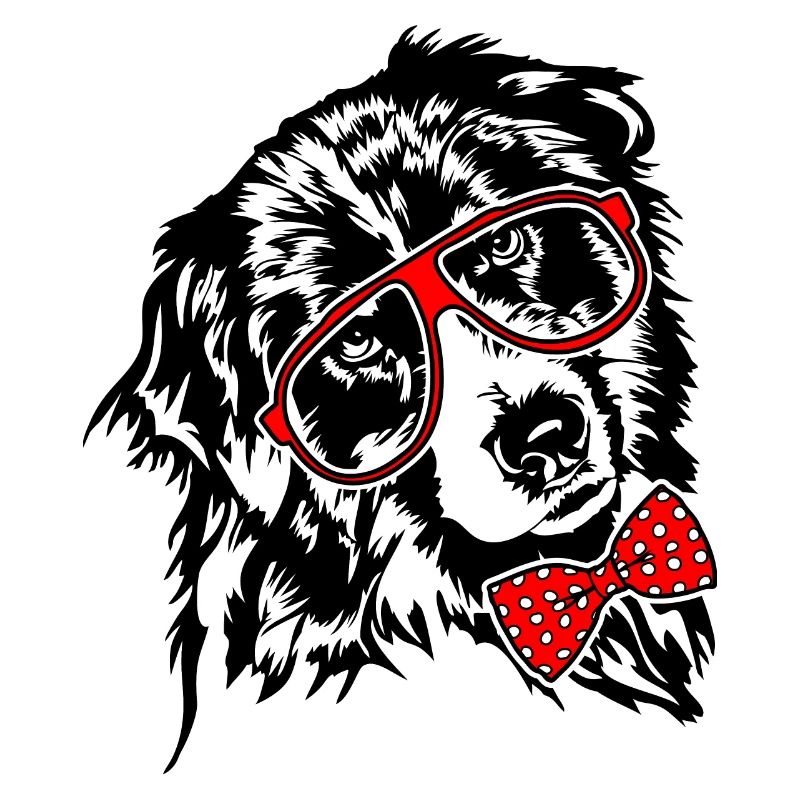 AUSTRALIAN SHEPHERD Brille Hunde Hund Aussie
