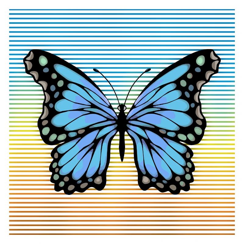 Papillon
