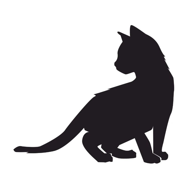 Conception de chaton