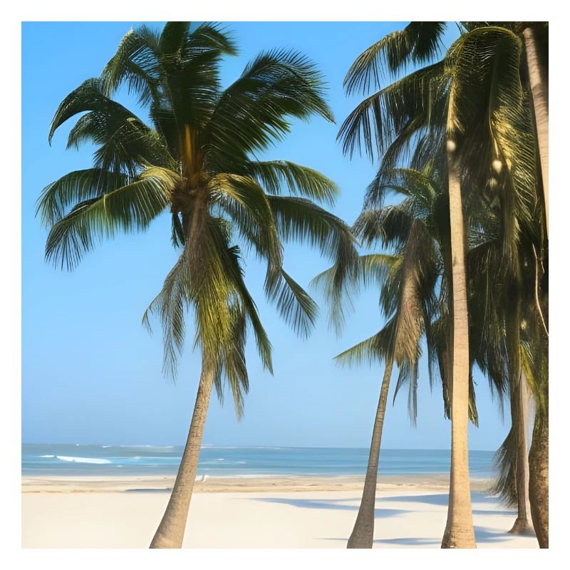 Plage de vacances