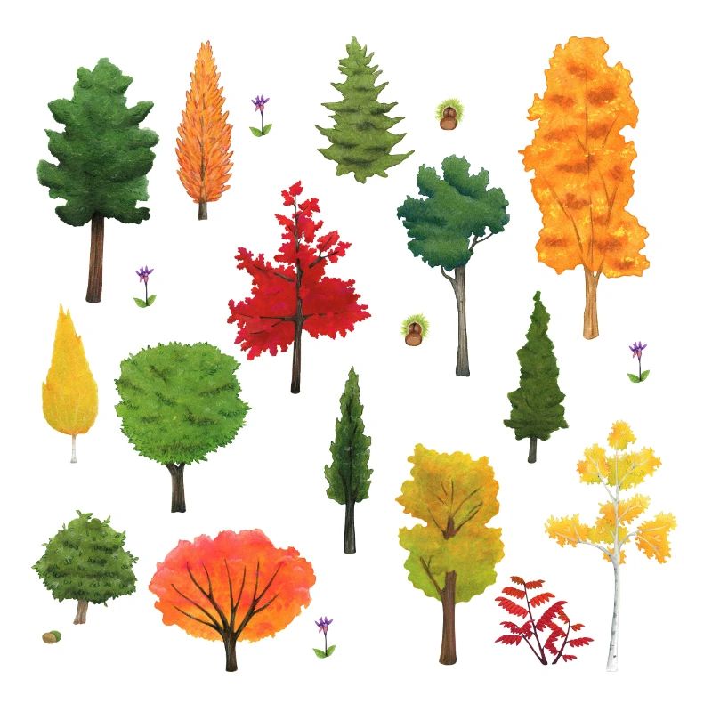 Arbres