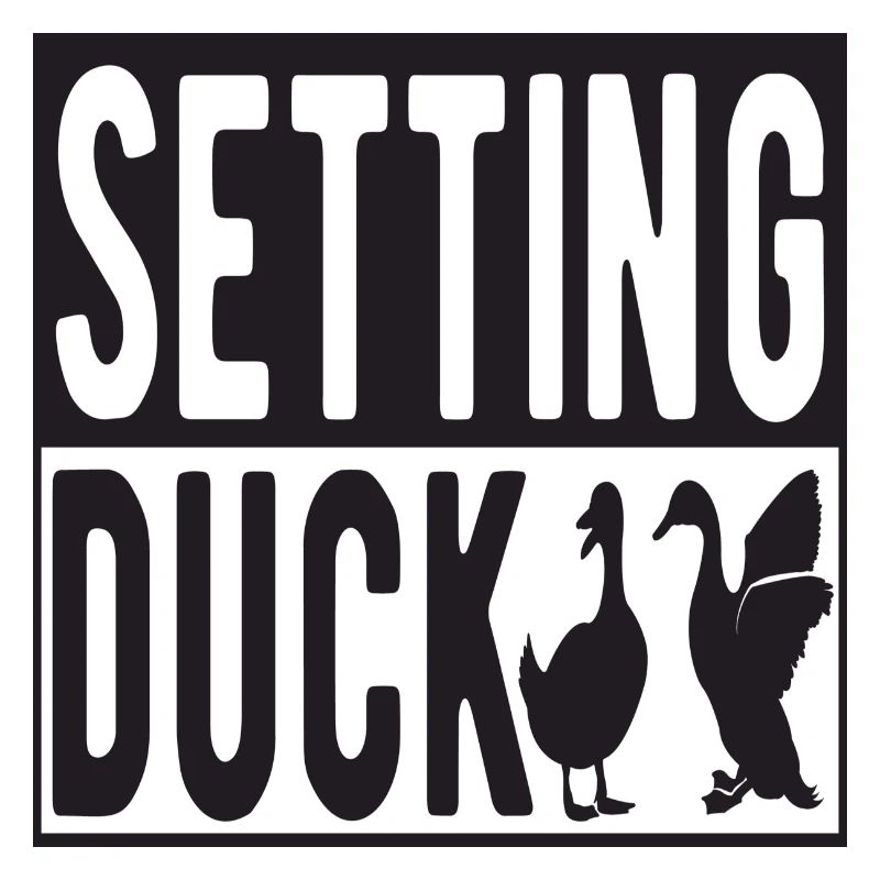 Setting Duck