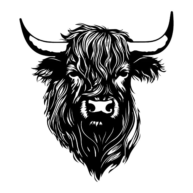 Vache écossaise des Highlands