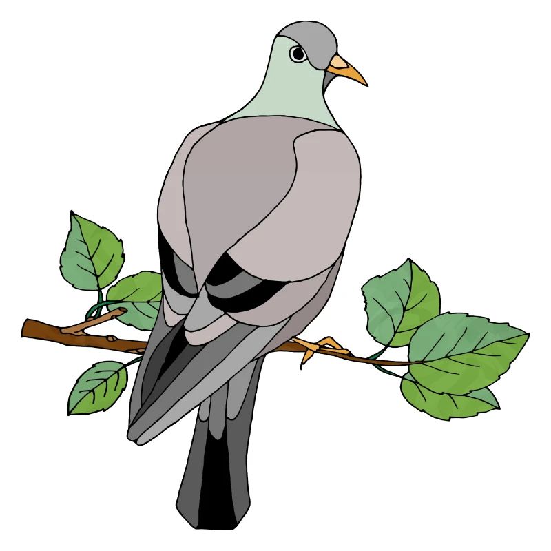 Oiseau