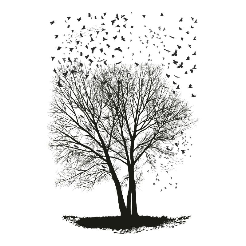 Ravens on a Poplar trees2