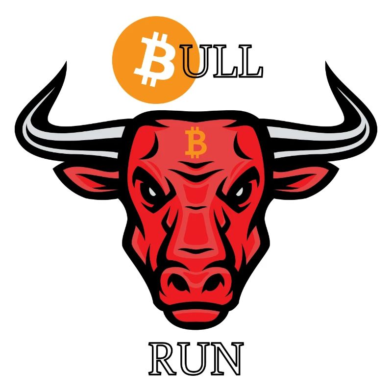 BITCOIN BULL RUN