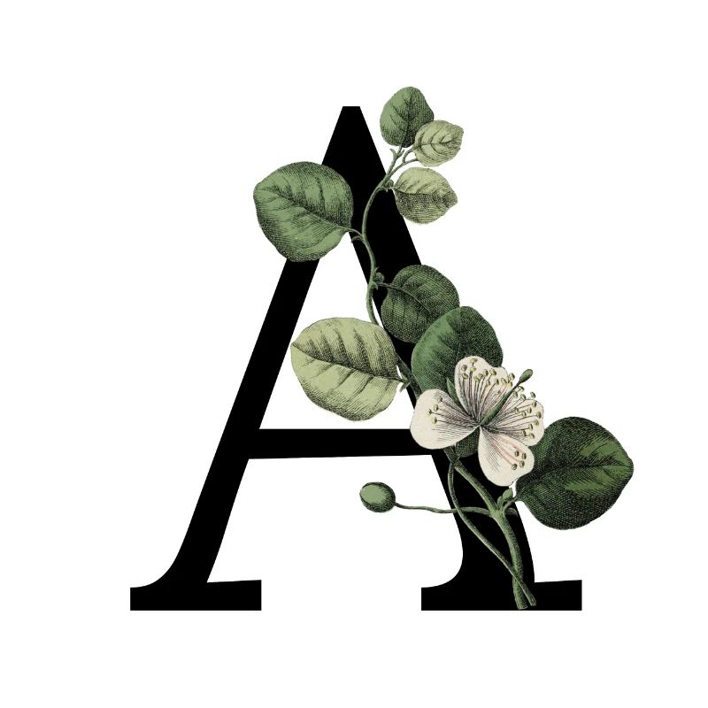 lettre a botanique vert