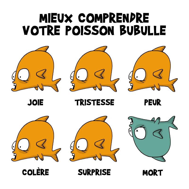Mieux_comprendre_bubulle