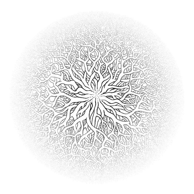 Root circle black