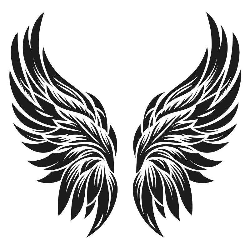 Ailes d’ange