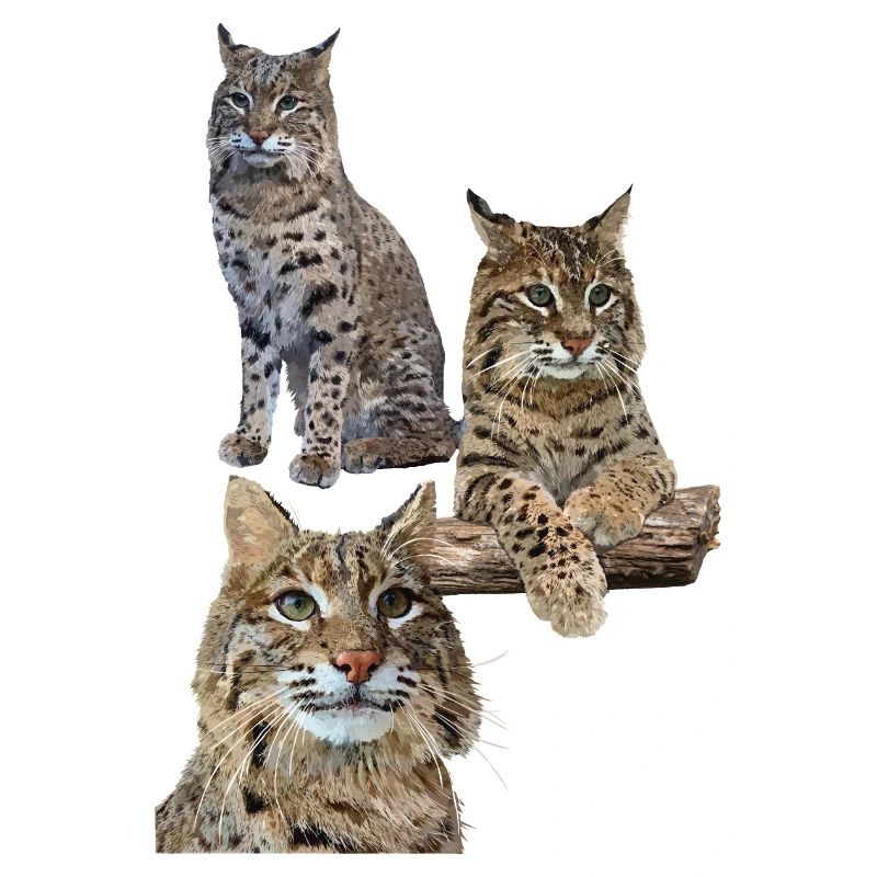 Luchs