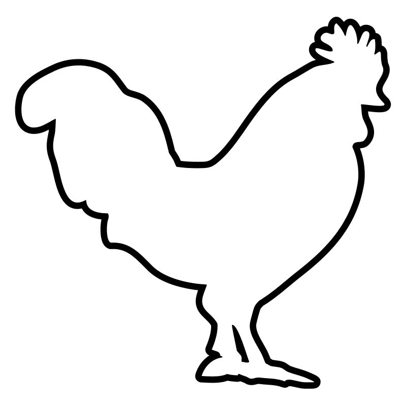 conception de poulet