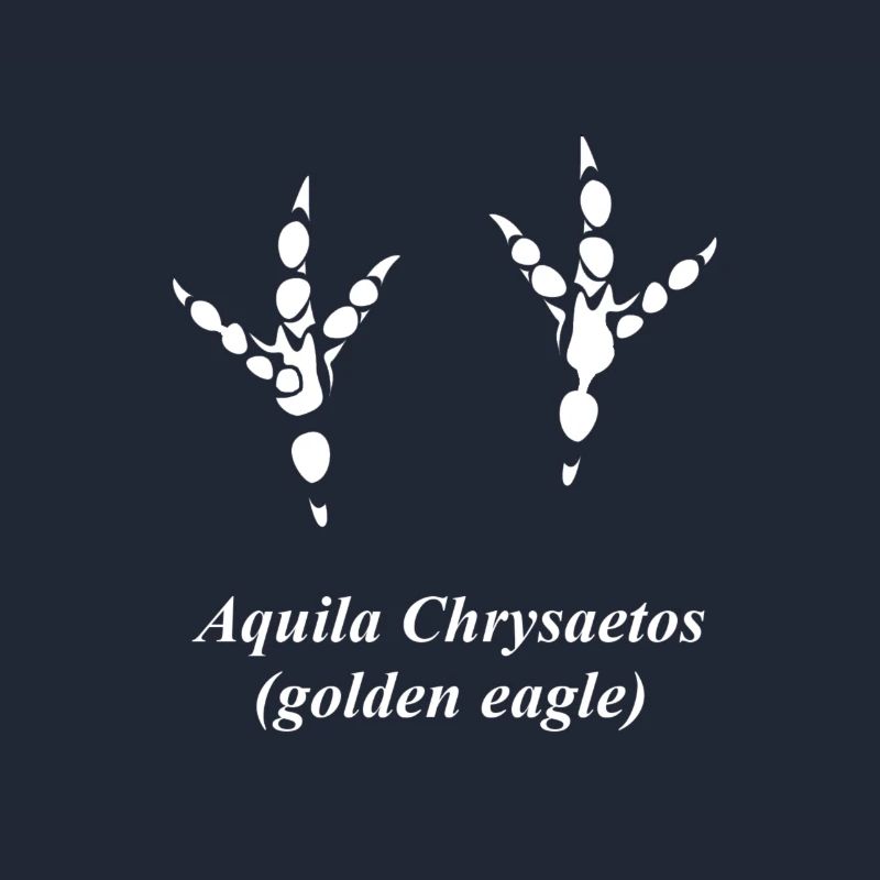 Aigle