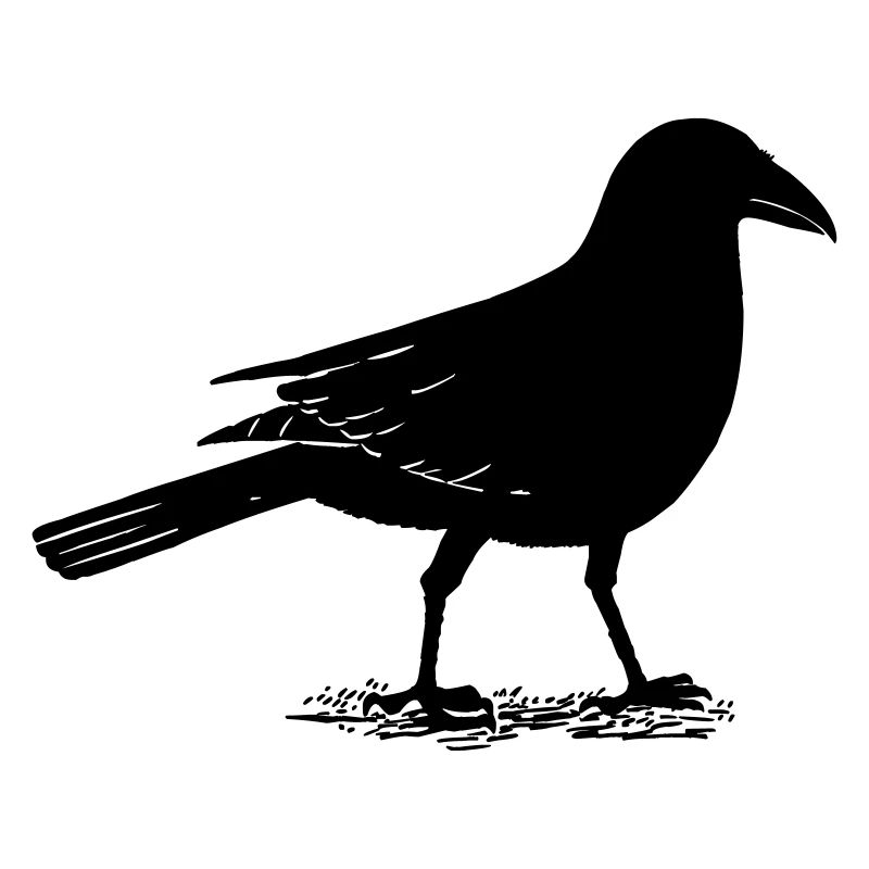 corbeau