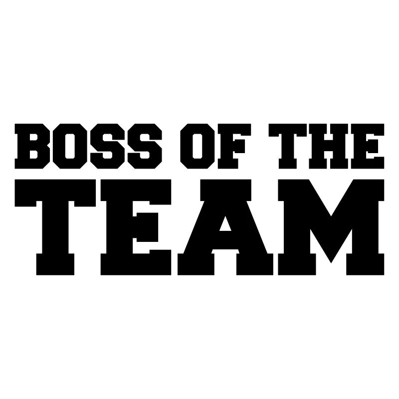 Chef de l’équipe