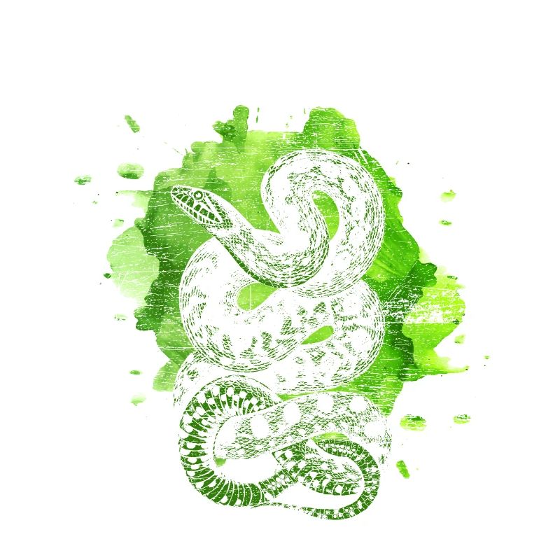 Cadeau de reptile de poison de serpent d'eau de serpent