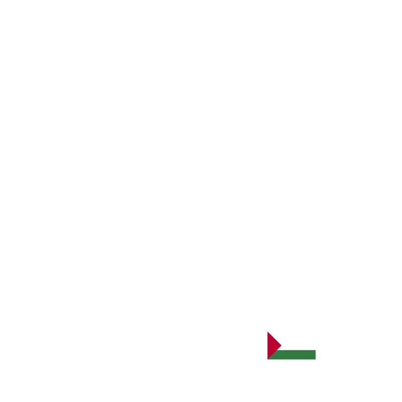 Palestine map