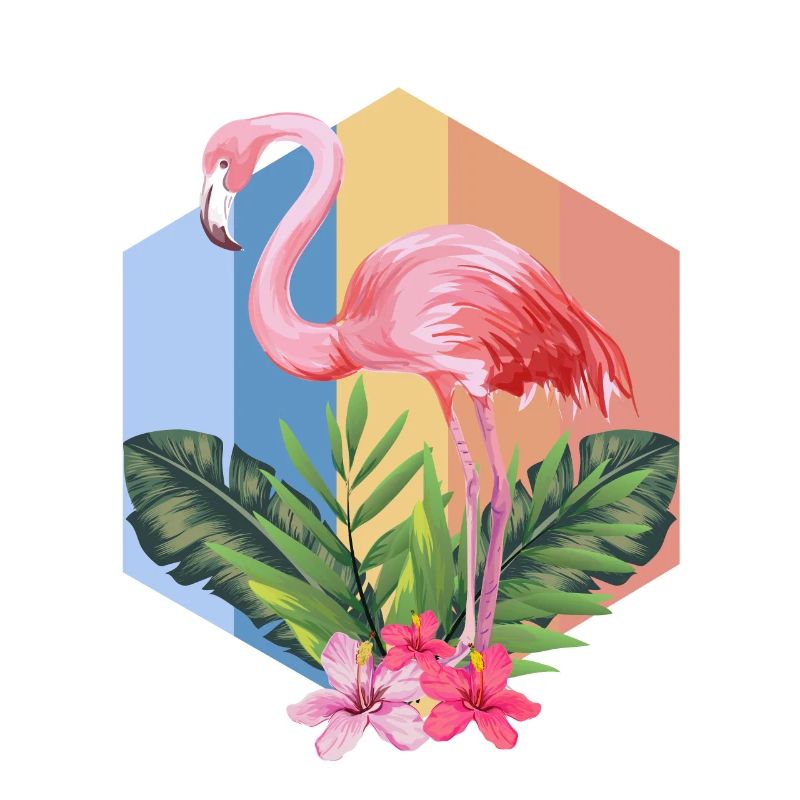 flamant