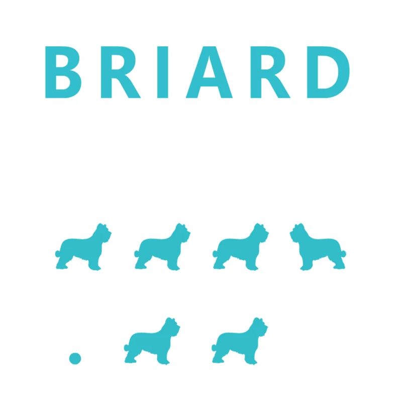 Hartnäckige Briard-Tricks