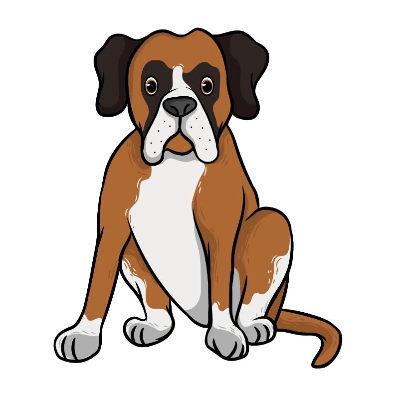 Deutscher Boxer