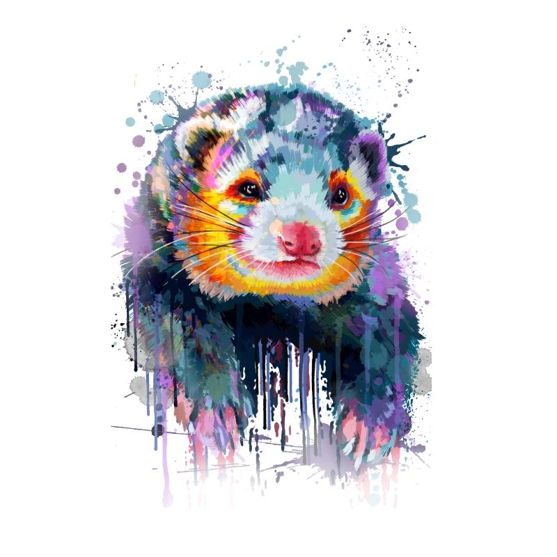 Ferrets hand-drawn