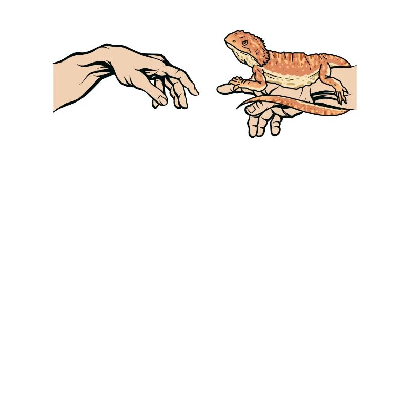 Bartagame Lustige Bartagame Eidechse