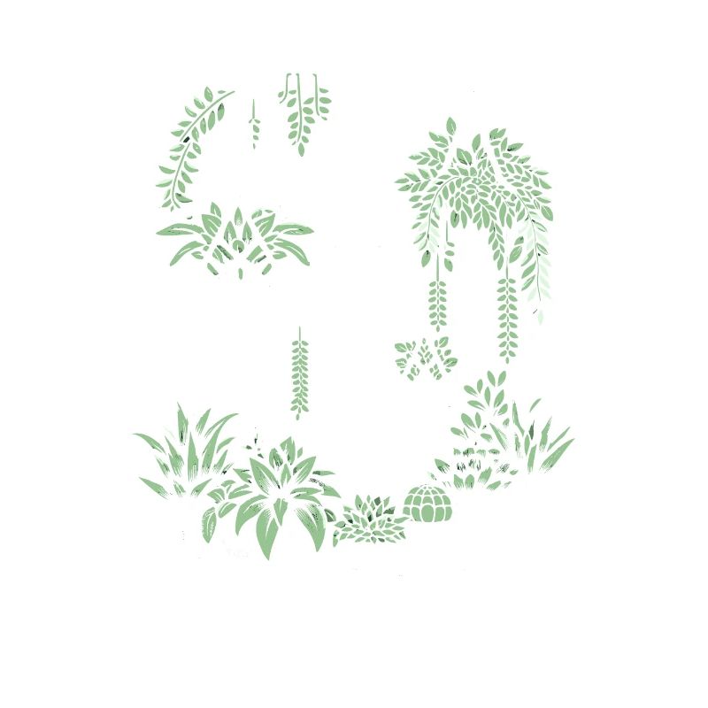 Macrame and plants