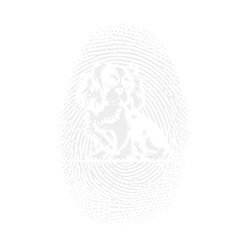 Spaniel Fingerprint Creative Spaniel