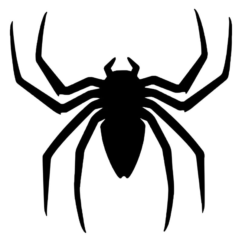 Schwarze Spinne Halloween Geschenkidee