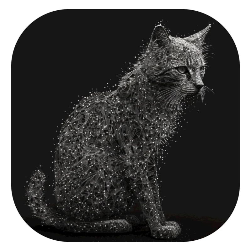 Chat