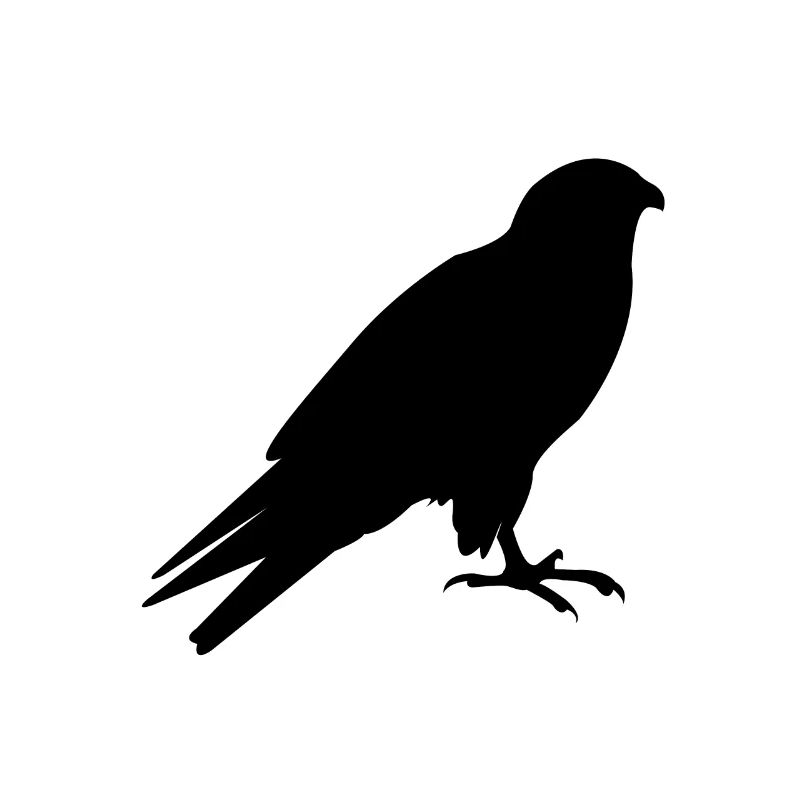 Oiseaux silhouette oiseaux