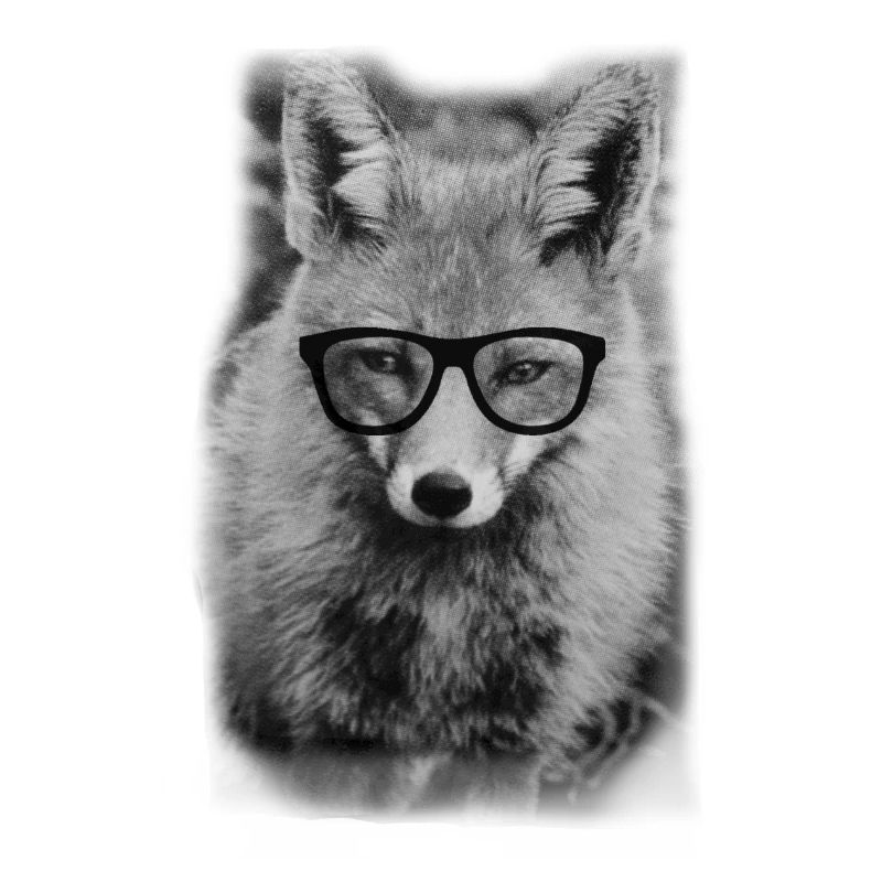 Nerd Fox